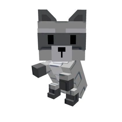 Raccoon